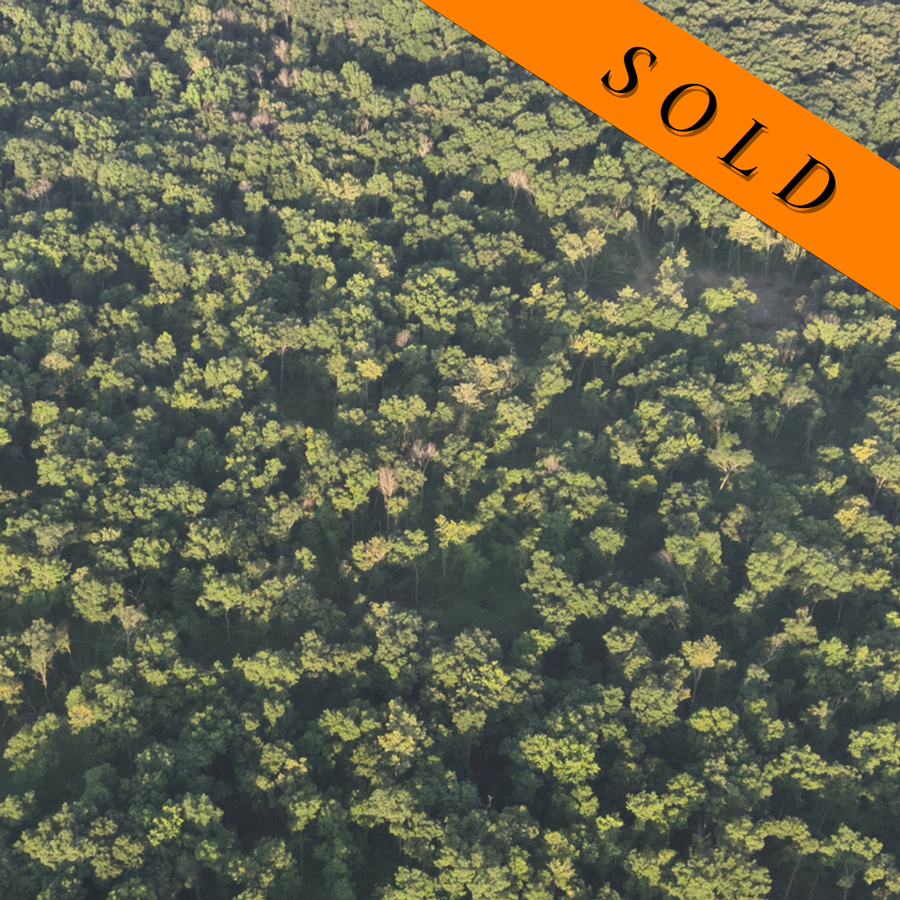 82 Acres Prime Hunting Ground